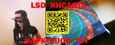 молекула духа Будённовск