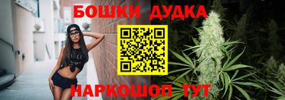 молекула духа Будённовск