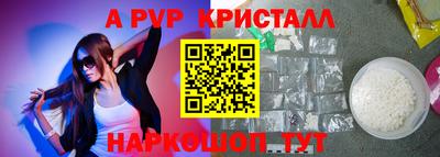 молекула духа Будённовск