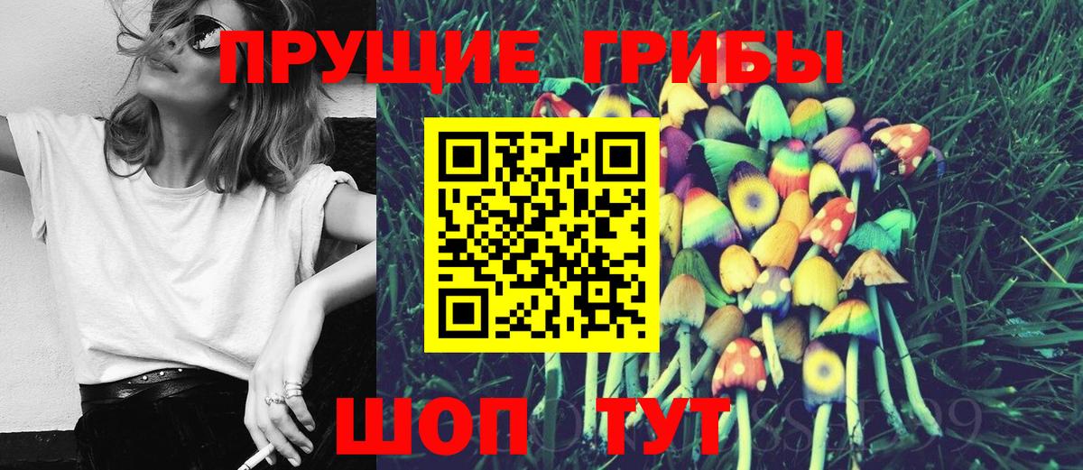 Галлюциногенные грибы Cubensis  Вход с VPN  Лесозаводск 